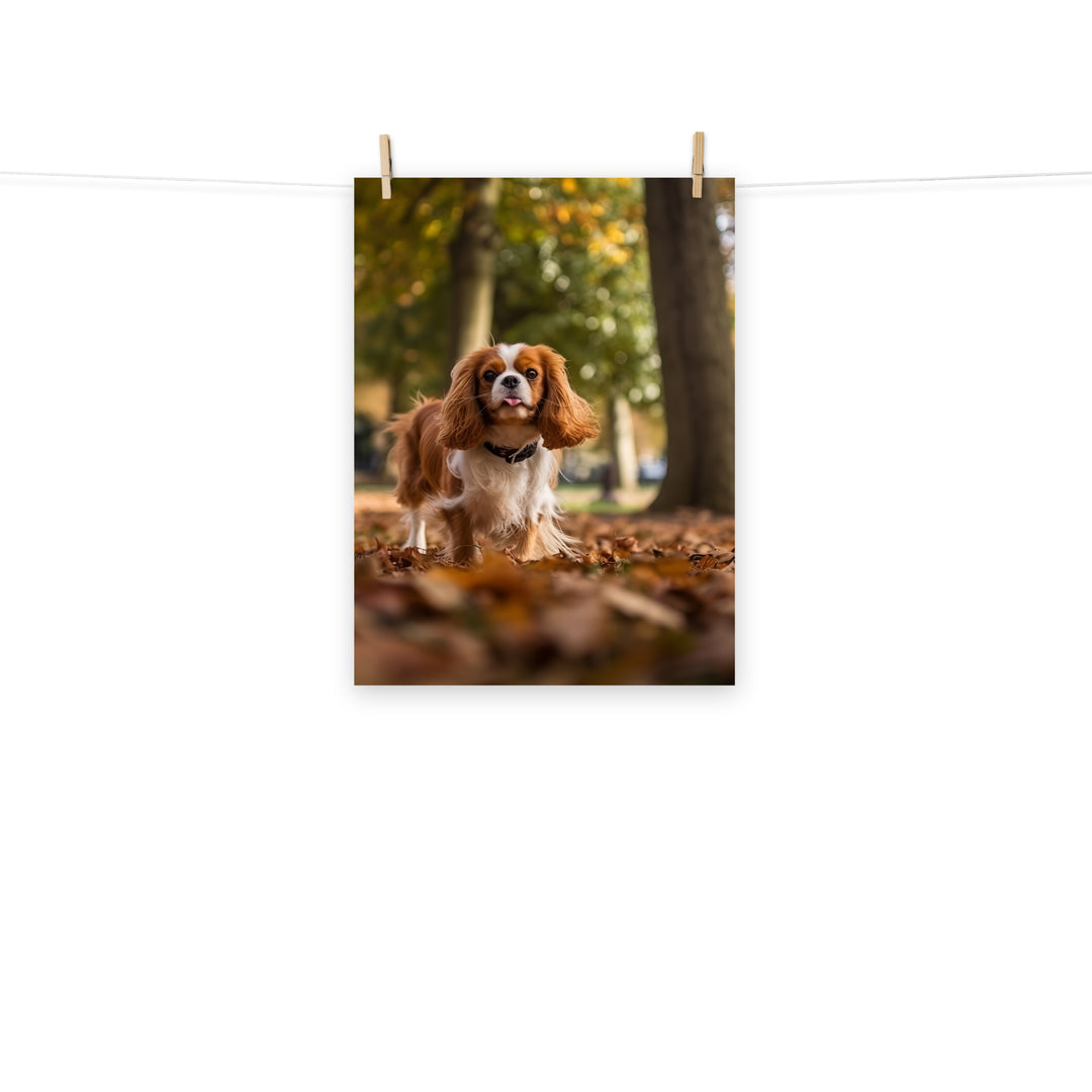 Cavalier King Charles Photo paper poster - PosterfyAI.com