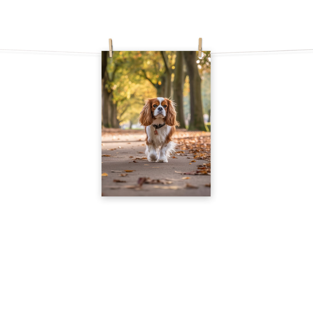 Cavalier King Charles Photo paper poster - PosterfyAI.com