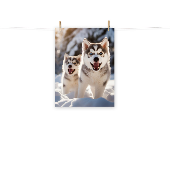 Siberian Husky Photo paper poster - PosterfyAI.com