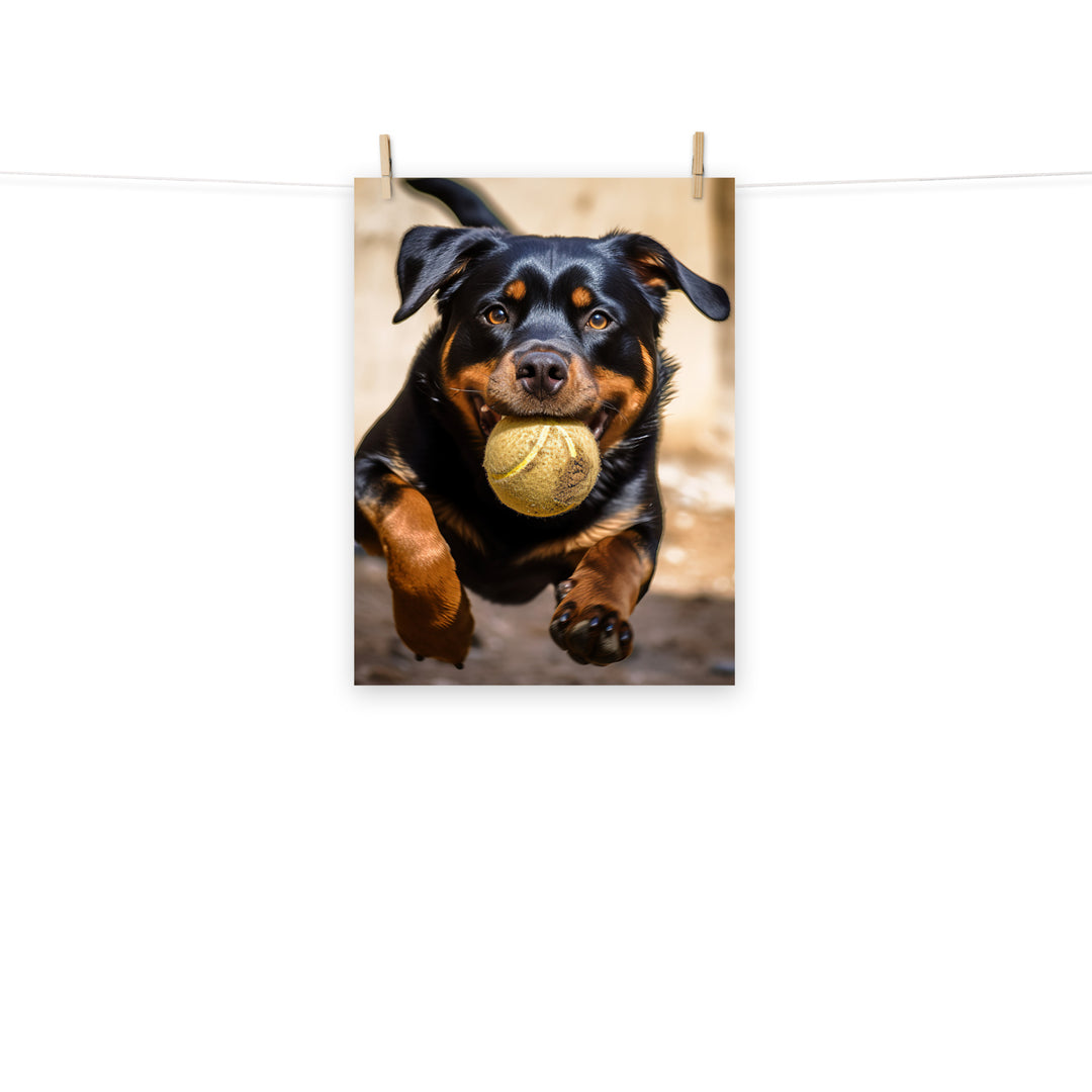 Rottweiler Photo paper poster - PosterfyAI.com