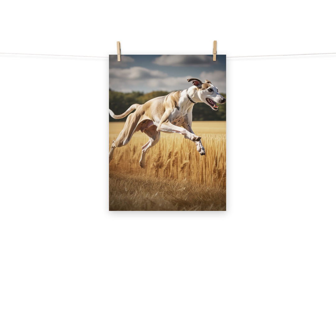 Whippet Photo paper poster - PosterfyAI.com