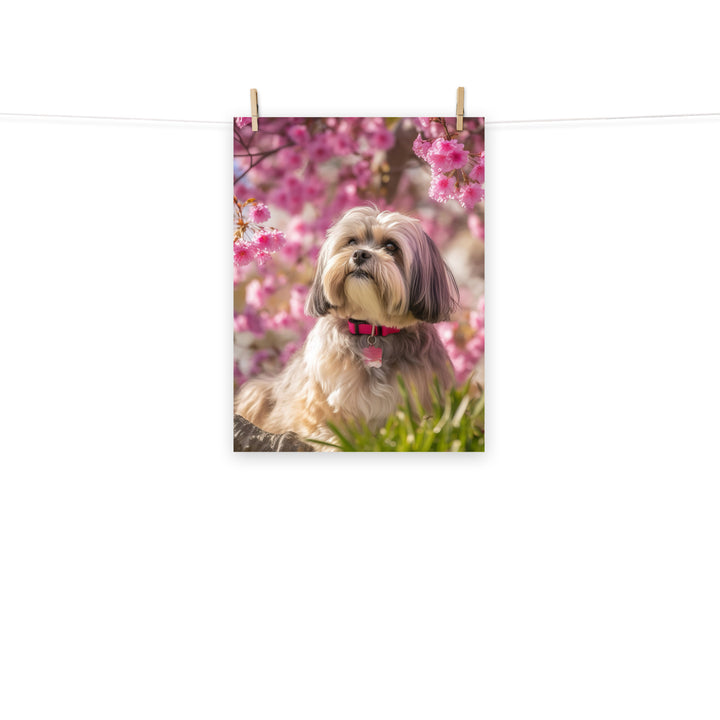 Lhasa Apso Photo paper poster - PosterfyAI.com