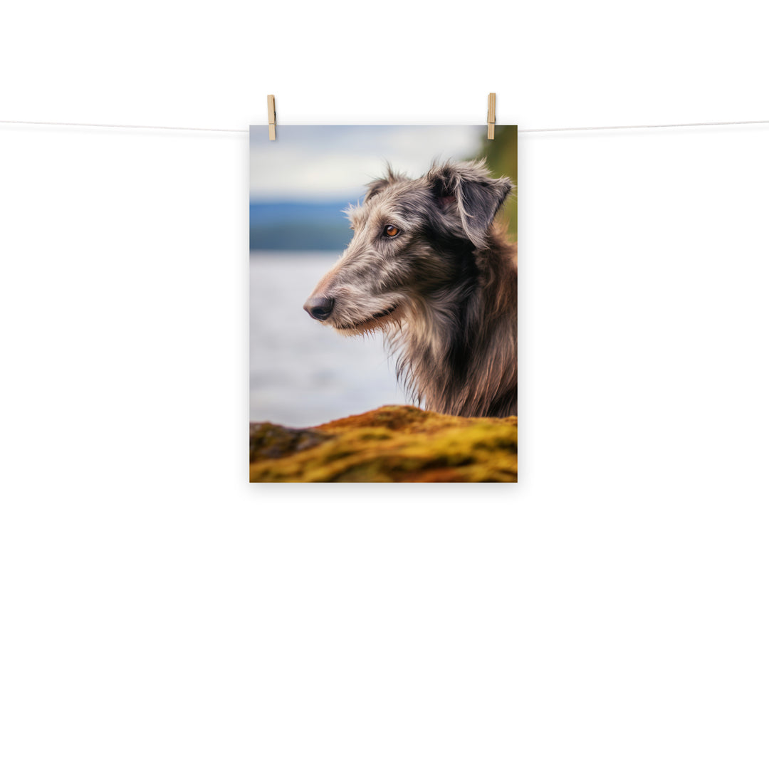 Scottish Deerhound Photo paper poster - PosterfyAI.com