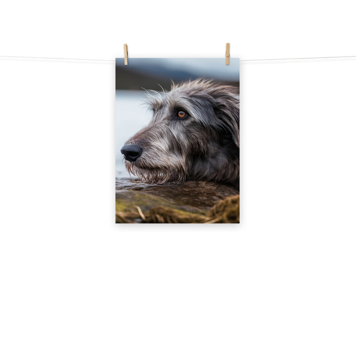 Scottish Deerhound Photo paper poster - PosterfyAI.com