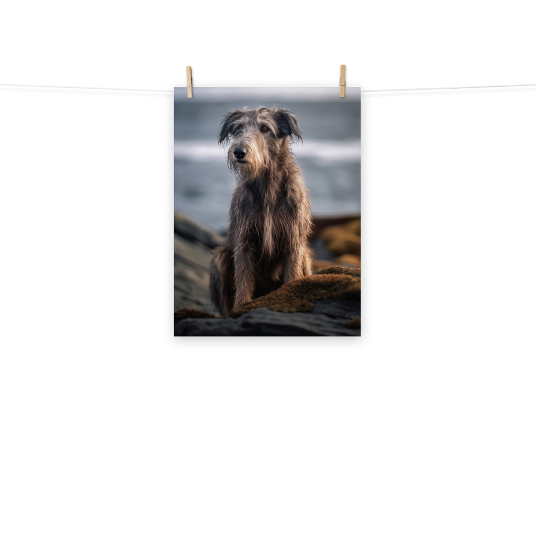 Scottish Deerhound Photo paper poster - PosterfyAI.com