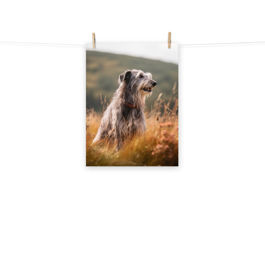 Scottish Deerhound Photo paper poster - PosterfyAI.com