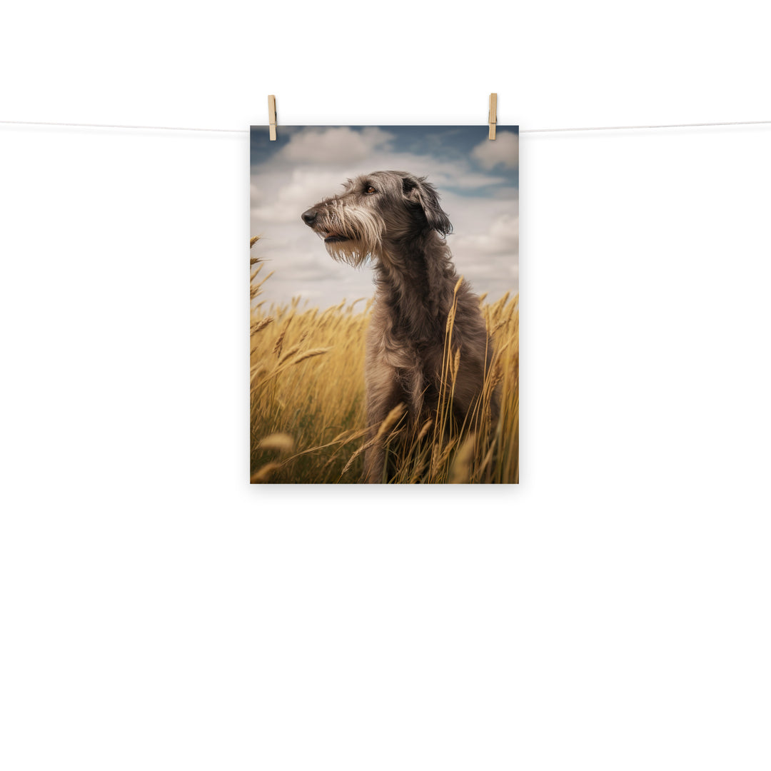 Scottish Deerhound Photo paper poster - PosterfyAI.com