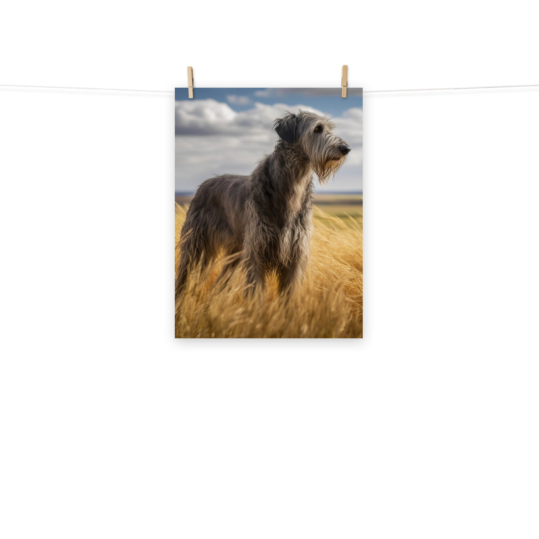 Scottish Deerhound Photo paper poster - PosterfyAI.com