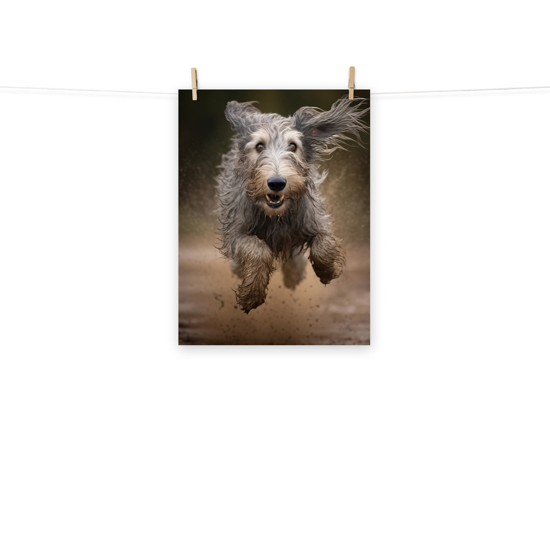 Scottish Deerhound Photo paper poster - PosterfyAI.com