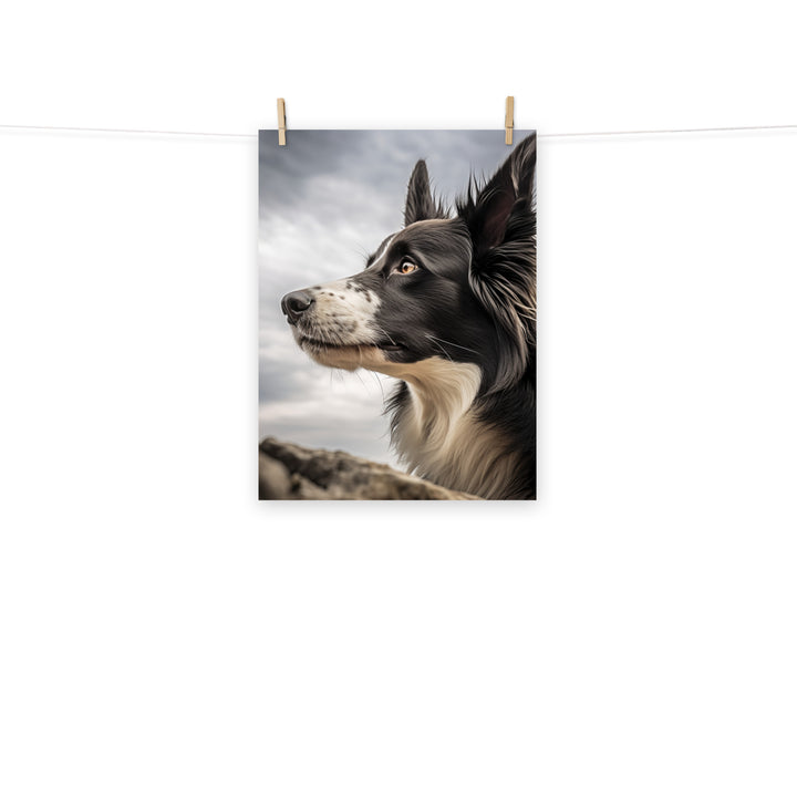 Border Collie Photo paper poster - PosterfyAI.com