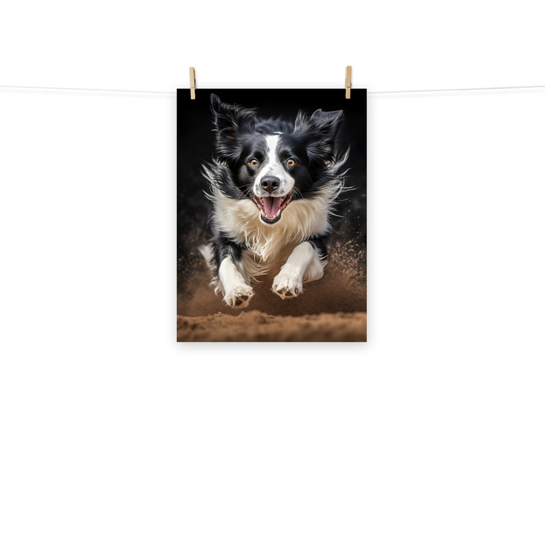 Border Collie Photo paper poster - PosterfyAI.com