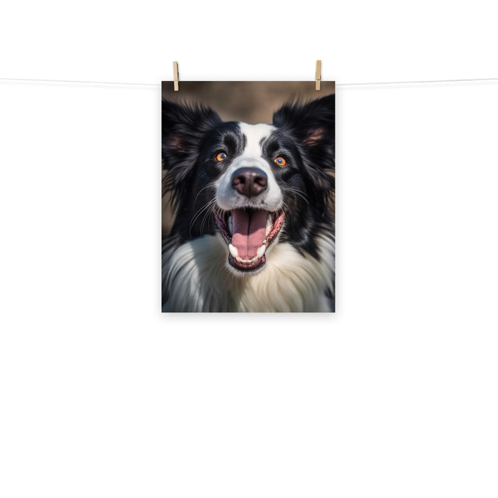 Border Collie Photo paper poster - PosterfyAI.com