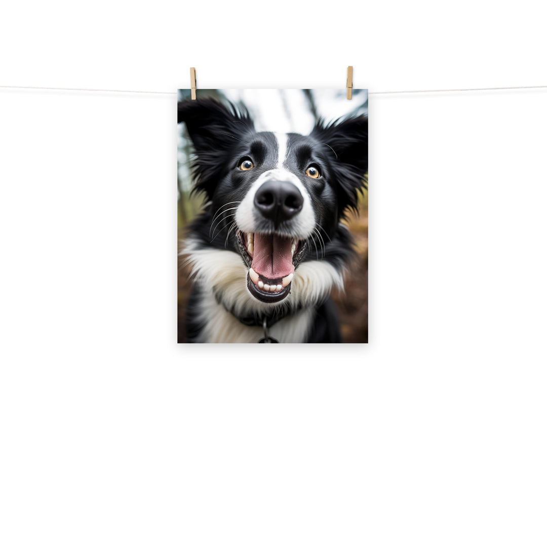 Border Collie Photo paper poster - PosterfyAI.com