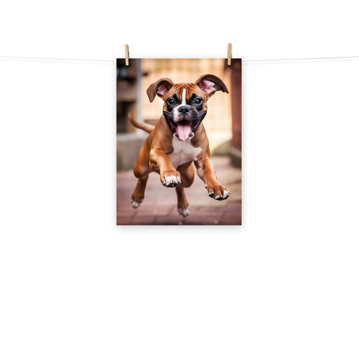 Boxer Photo paper poster - PosterfyAI.com