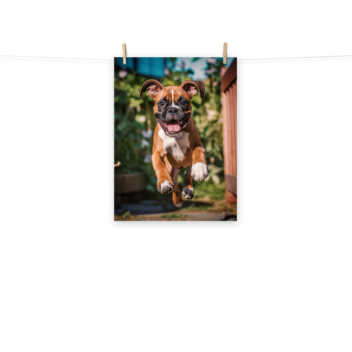 Boxer Photo paper poster - PosterfyAI.com