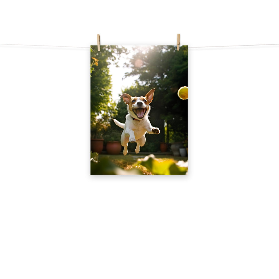 Jack Russell Terrier Photo paper poster - PosterfyAI.com