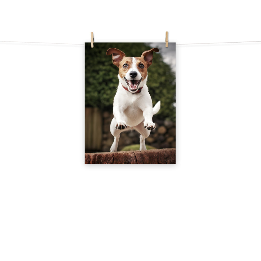 Jack Russell Terrier Photo paper poster - PosterfyAI.com