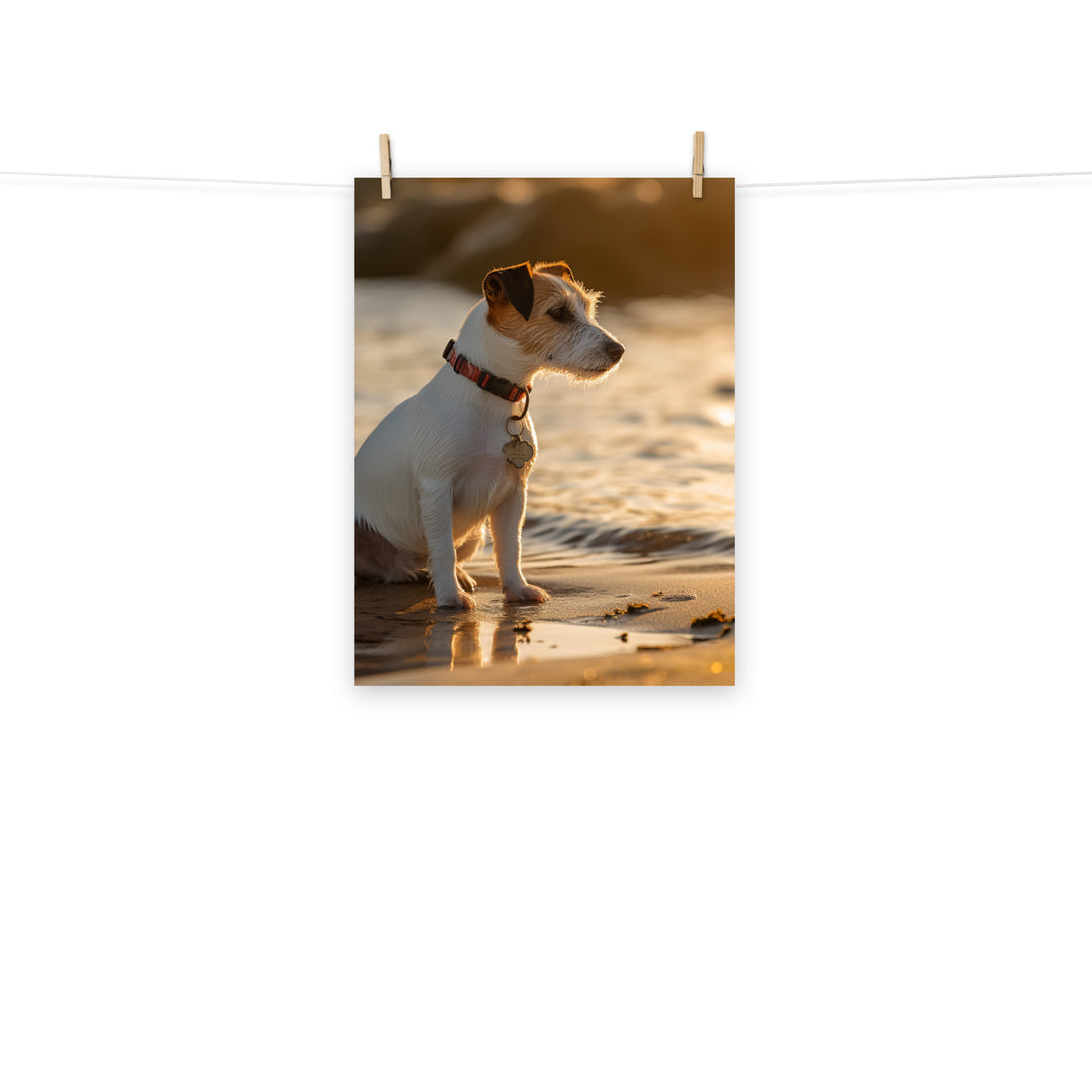 Jack Russell Terrier Photo paper poster - PosterfyAI.com