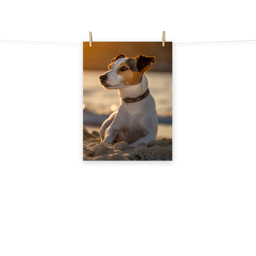 Jack Russell Terrier Photo paper poster - PosterfyAI.com