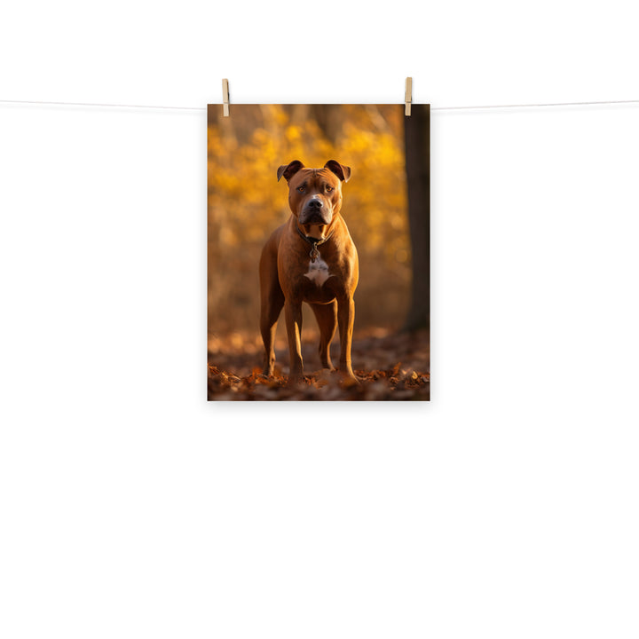 American Staffordshire Terrier Photo paper poster - PosterfyAI.com