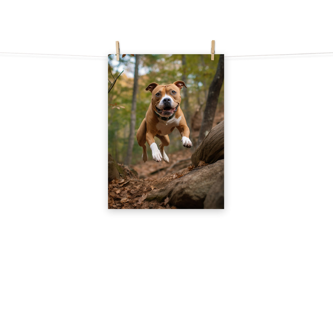 American Staffordshire Terrier Photo paper poster - PosterfyAI.com