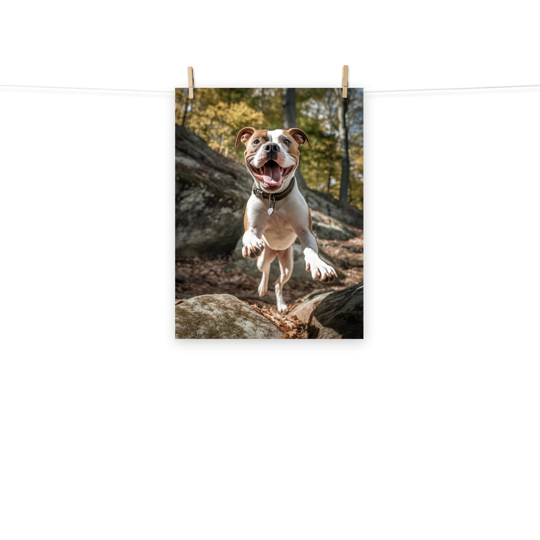 American Staffordshire Terrier Photo paper poster - PosterfyAI.com