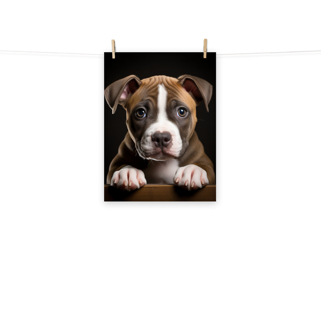 American Staffordshire Terrier Photo paper poster - PosterfyAI.com