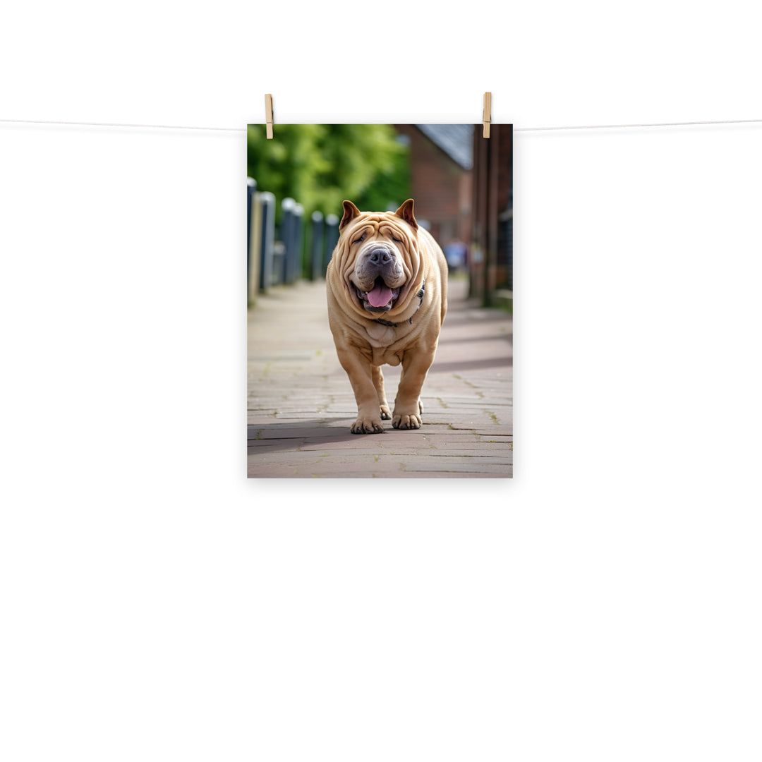 Shar Pei Photo paper poster - PosterfyAI.com