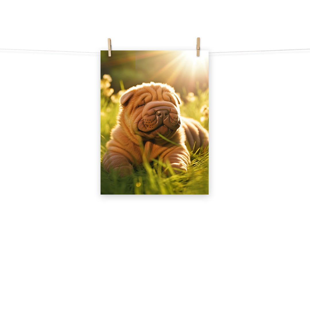 Shar Pei Photo paper poster - PosterfyAI.com