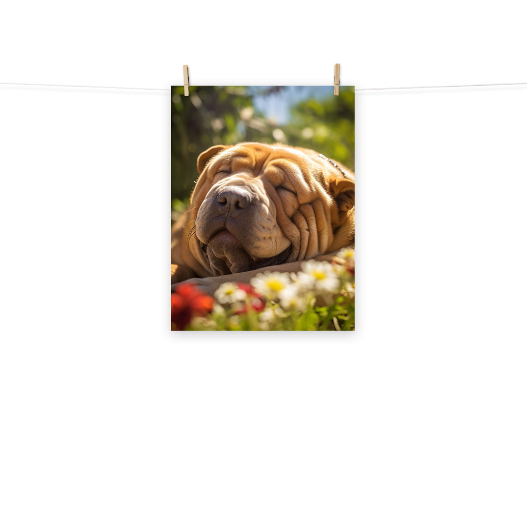 Shar Pei Photo paper poster - PosterfyAI.com