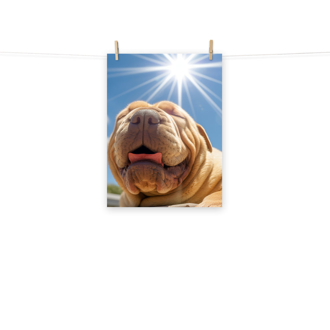 Shar Pei Photo paper poster - PosterfyAI.com