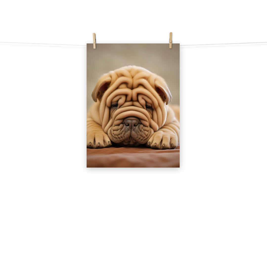 Shar Pei Photo paper poster - PosterfyAI.com