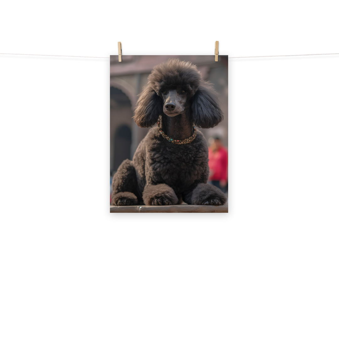 Poodle Photo paper poster - PosterfyAI.com