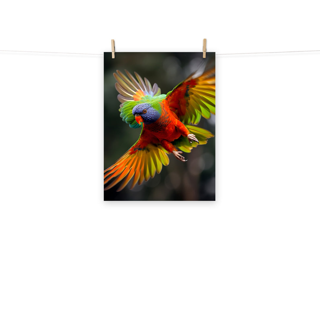 Lorikeet Photo paper poster - PosterfyAI.com