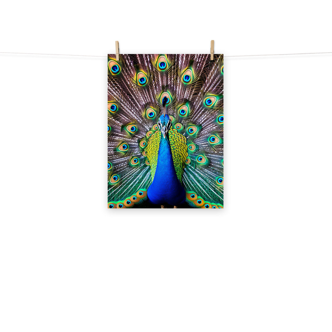 Peacock Photo paper poster - PosterfyAI.com