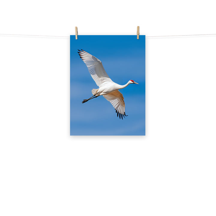 Crane Photo paper poster - PosterfyAI.com