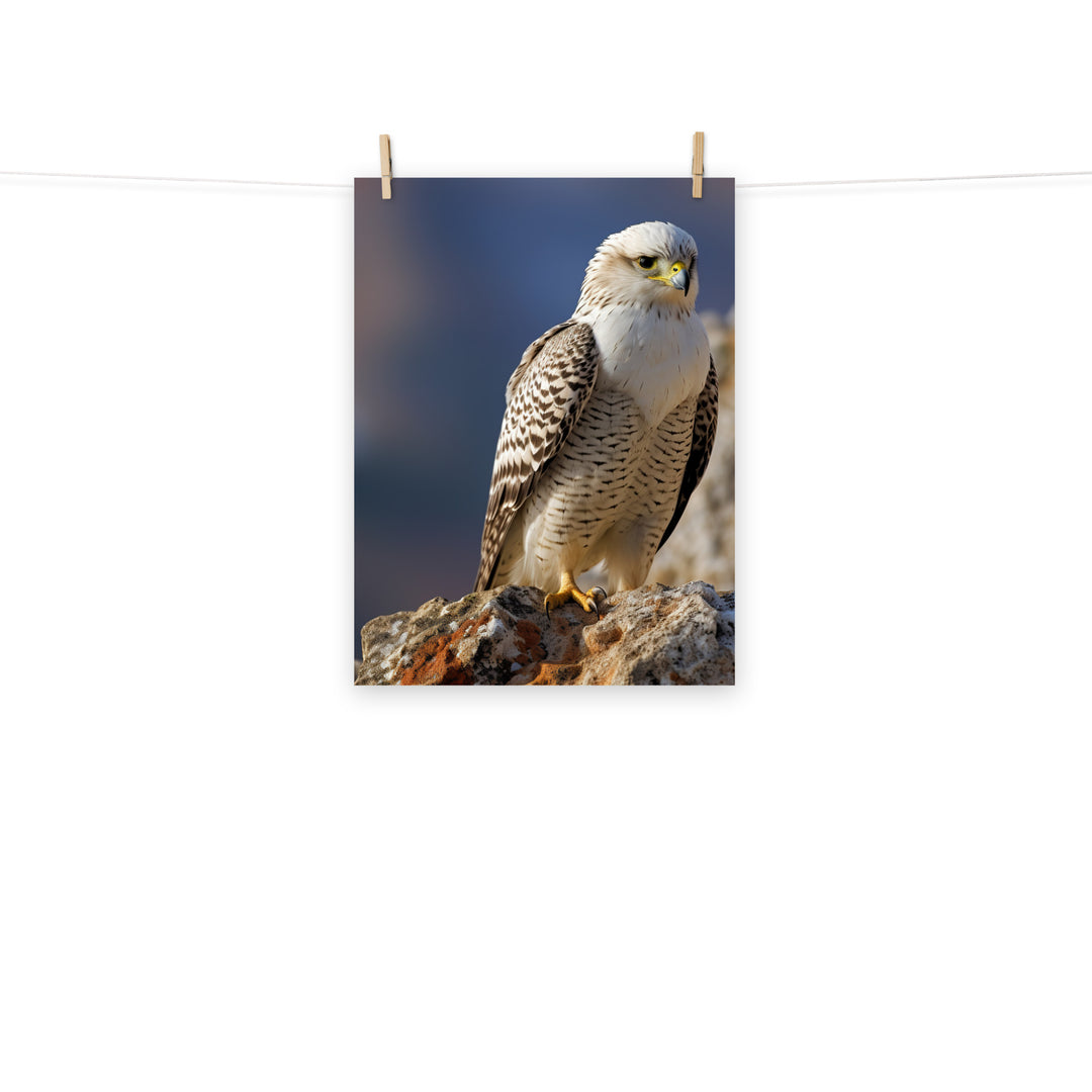 Gyrfalcon Photo paper poster - PosterfyAI.com