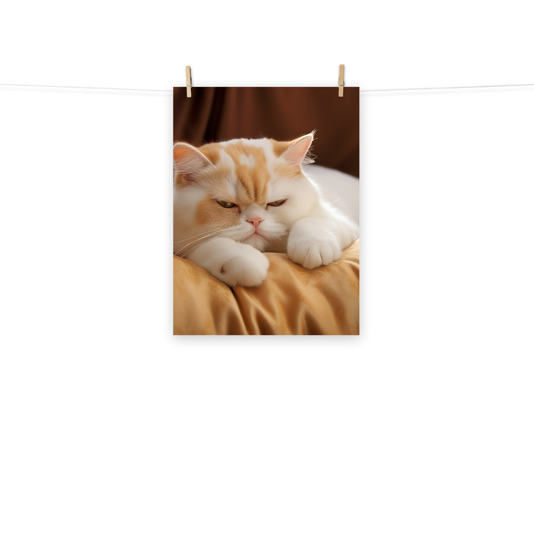 Exotic Shorthair Photo paper poster - PosterfyAI.com