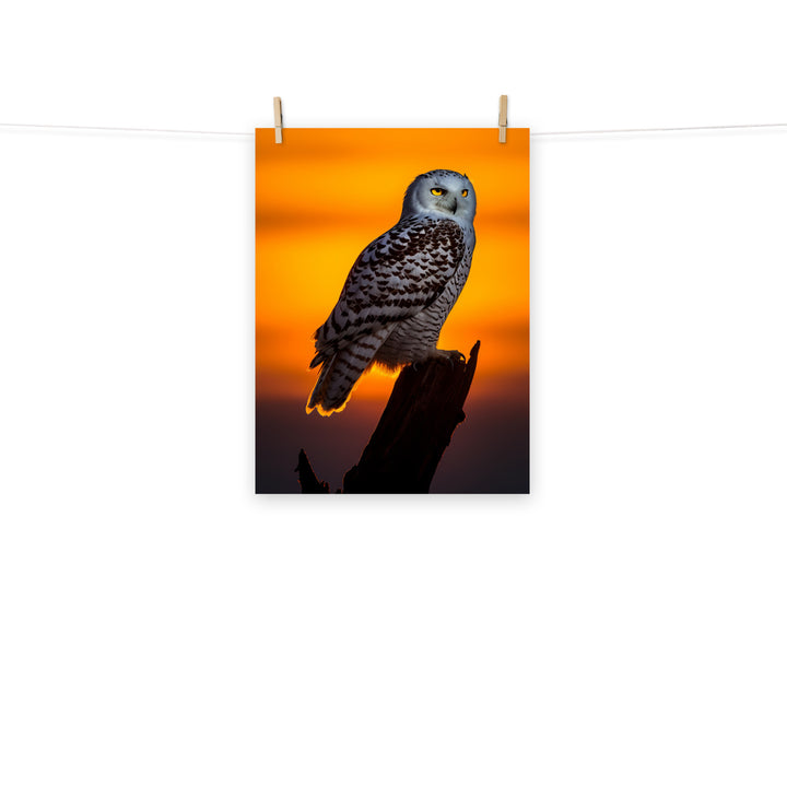 Owl Photo paper poster - PosterfyAI.com