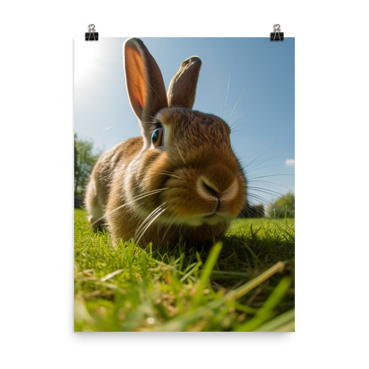 Flemish Giant Rabbit Outdoors Photo paper poster - PosterfyAI.com