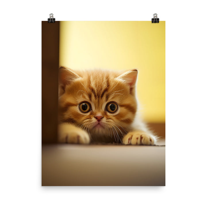 Exotic Shorthair Kitten Photo paper poster - PosterfyAI.com