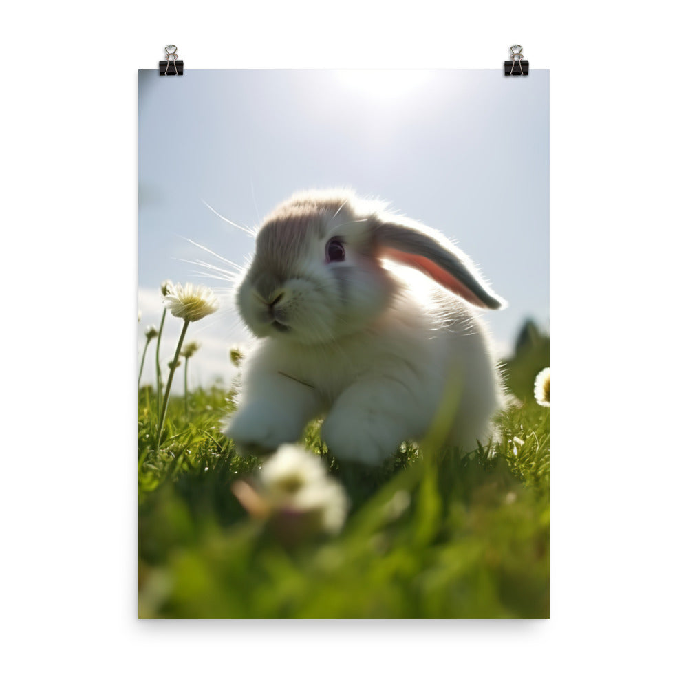 Playful Mini Lop Bunny in a Meadow Photo paper poster - PosterfyAI.com