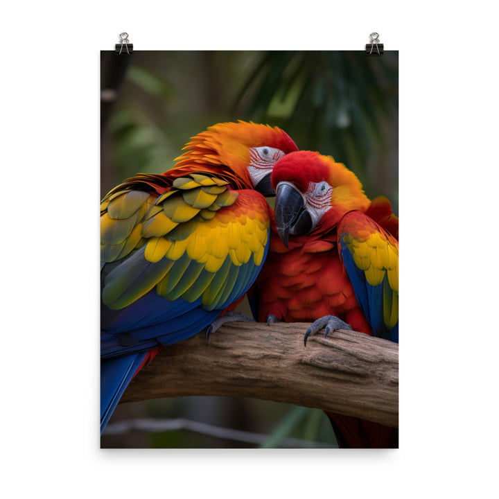 Two Macaws cuddling on a tree branch Photo paper poster - PosterfyAI.com