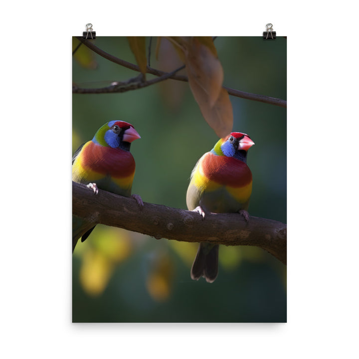 Rainbow Finches in the Wild Photo paper poster - PosterfyAI.com