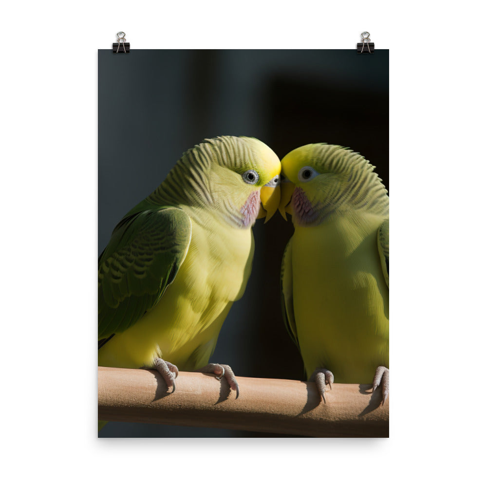 Parakeet Lovebirds Photo paper poster - PosterfyAI.com
