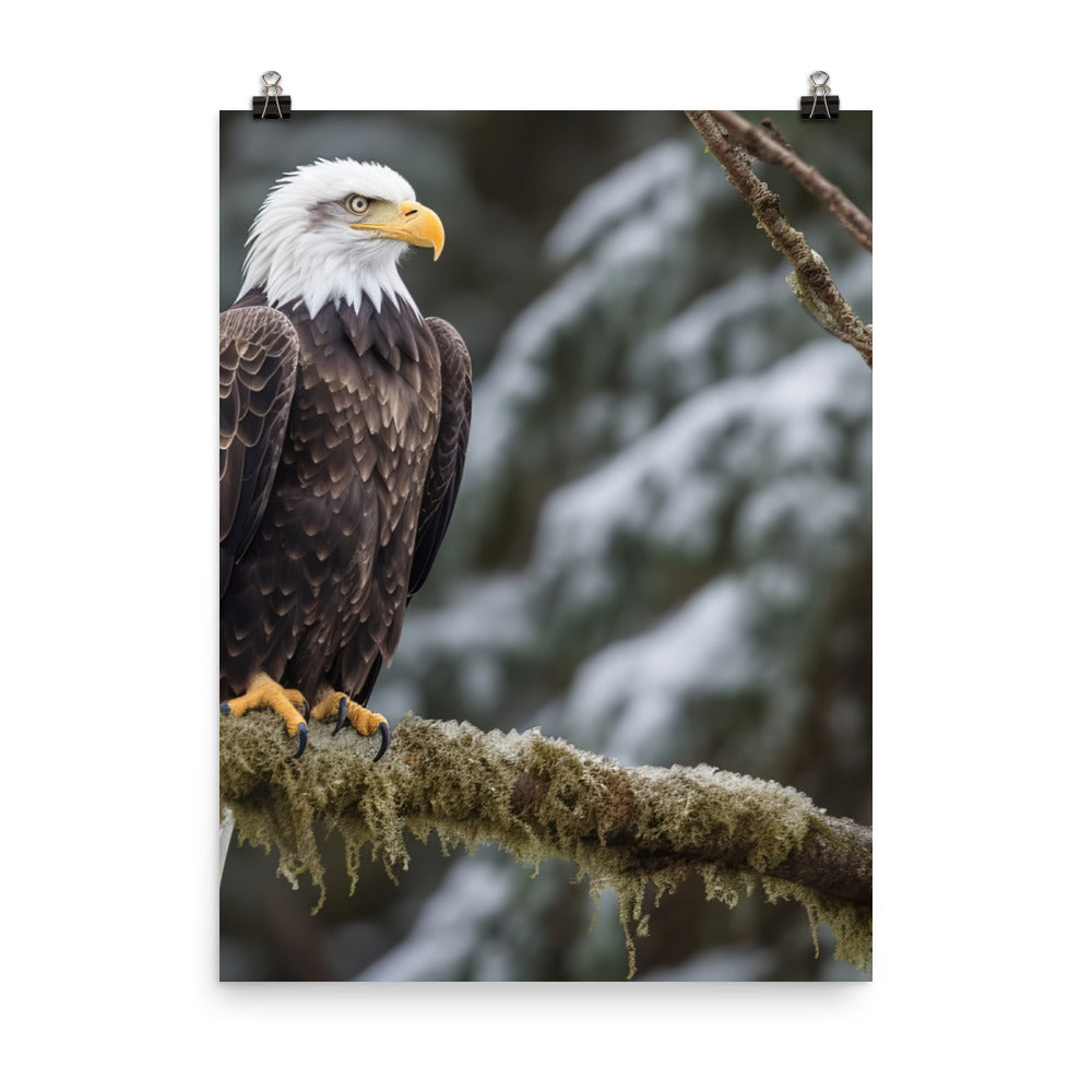 Majestic Bald Eagle Perched on a Tree Branch Photo paper poster - PosterfyAI.com