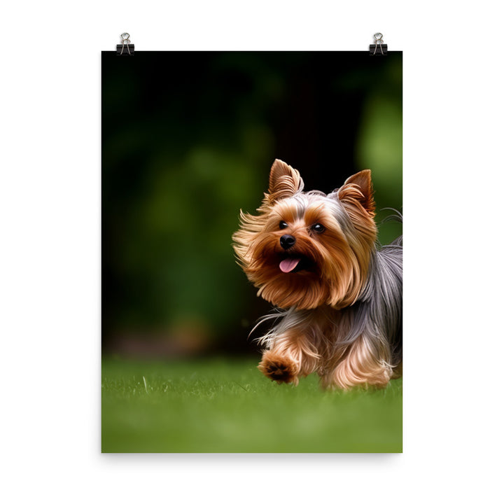 Yorkshire Terrier on-the-Go Photo paper poster - PosterfyAI.com