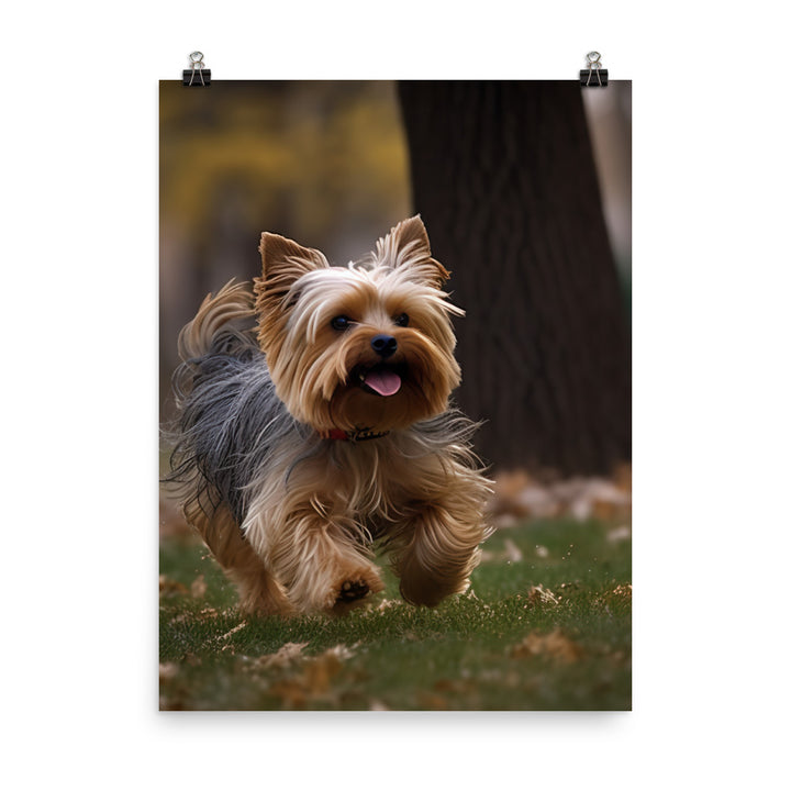 Yorkshire Terrier on-the-Go Photo paper poster - PosterfyAI.com