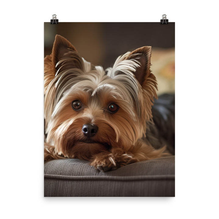 Yorkie at Home Photo paper poster - PosterfyAI.com