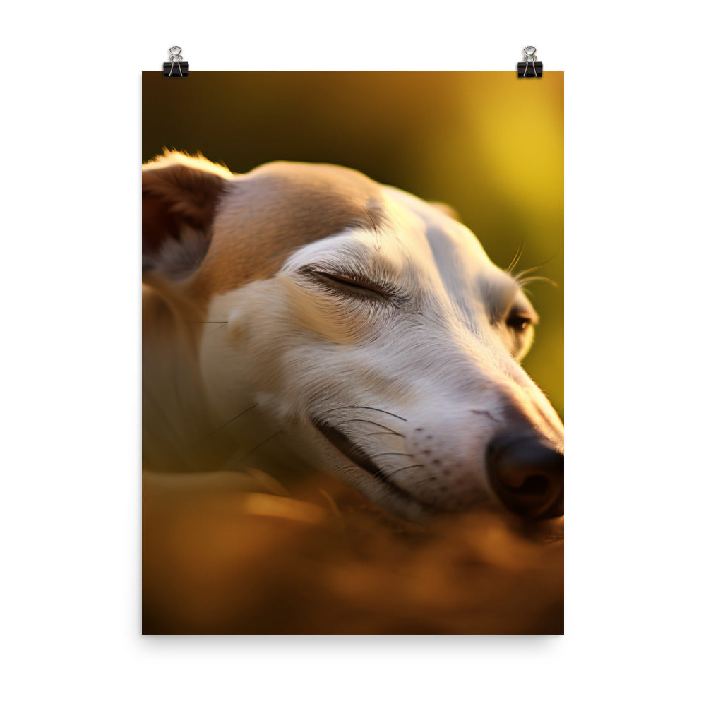 Whippet Beauty Sleep Photo paper poster - PosterfyAI.com